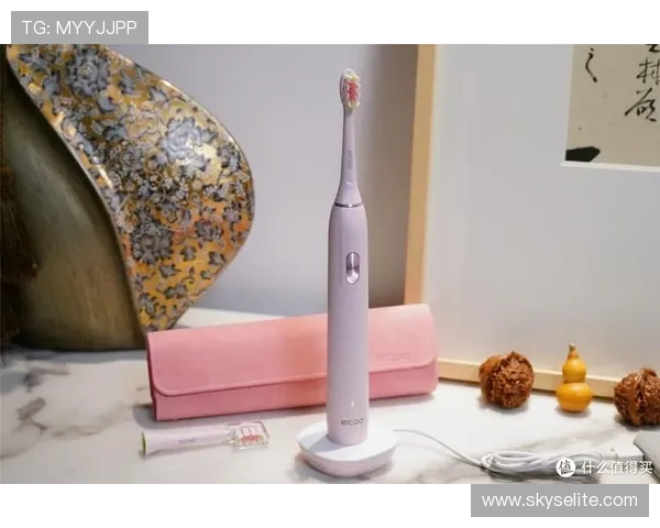 探索Z6尊龙官网的独特魅力与功能，带你领略不一样的体验