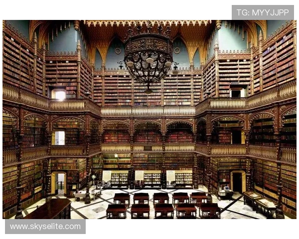 d88尊龙平台官网的最新优惠活动与促销方案，抓住每一次赢取机会