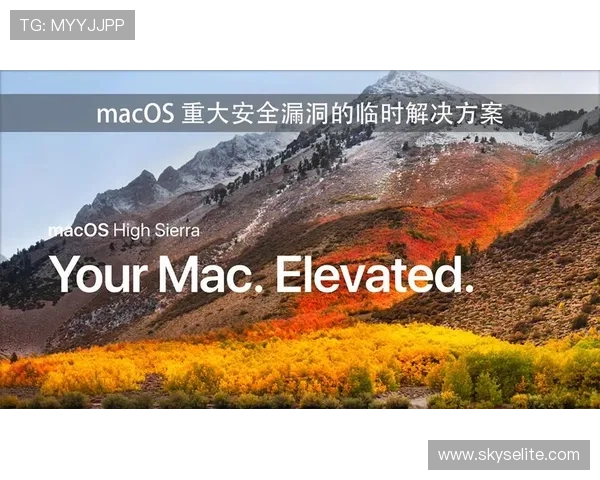 尊龙时凯官方网站入口：官方入口的账号安全设置与密码修改指南